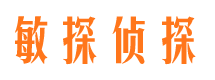 宜君市调查公司